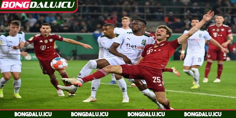 Bảng Xếp Hạng Cúp Quốc Gia Đức - Toàn cảnh DFB Pokal - 4 Dễ dàng dự đoán trước những cuộc chạm trán hấp dẫn
