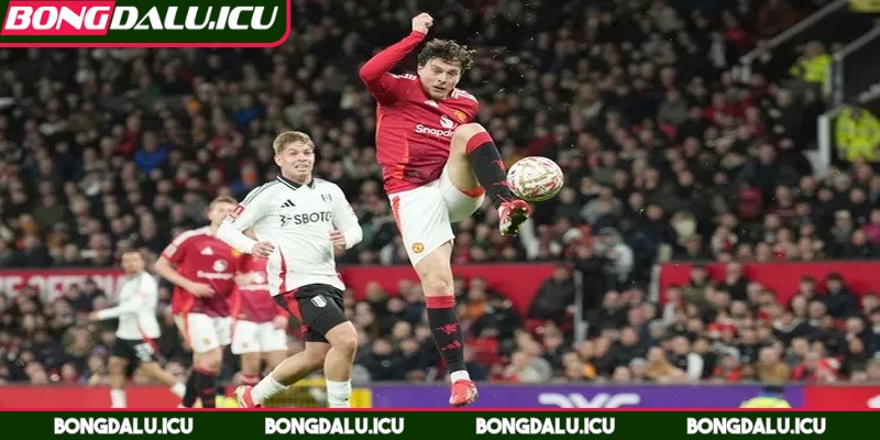 Bảng Xếp Hạng Fa Cup - Thứ Hạng Mới Sau Mỗi Vòng Đấu - 4 Đánh giá động lực, tham vọng của từng đội bóng