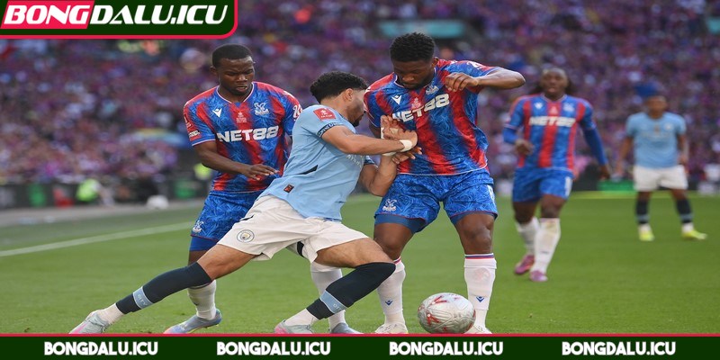 Bảng Xếp Hạng Fa Cup - Thứ Hạng Mới Sau Mỗi Vòng Đấu - 3 Dùng sơ đồ cây theo dõi toàn bộ hành trình thi đấu
