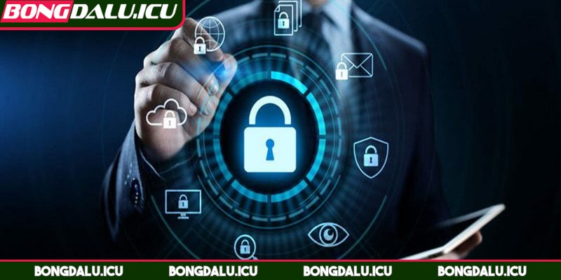 Chính Sách Bảo Mật - 2 Chính sách bảo mật đối với liên kết ngoài đặc biệt quan trọng