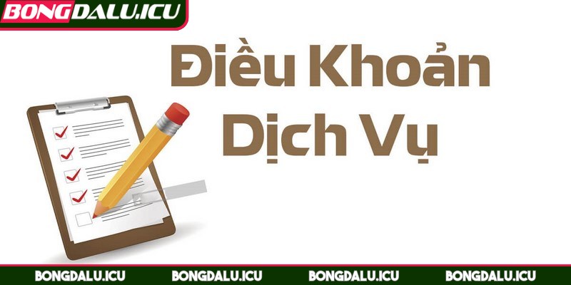 Điều Khoản Dịch Vụ - 1 Điều khoản dịch vụ được đội ngũ sáng lập đặc biệt chú trọng