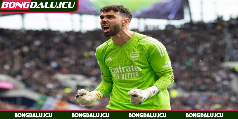 Đội Hình Xuất Sắc Nhất Câu Lạc Bộ Brentford Mọi Thời Đại - 2 Đội hình xuất sắc nhất câu lạc bộ Brentford thủ môn David Raya