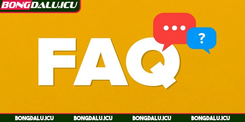 FAQ - 3 Liên hệ ở đâu để được giải đáp FAQ được nhiều người quan tâm