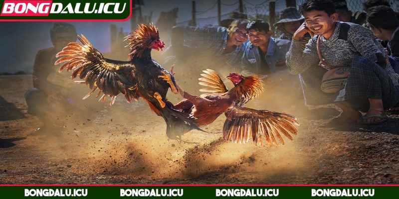 Galaxy Win - Sân Chơi Đáng Tin Cậy Được Kê Thủ Săn Đón - 4 Các sự kiện khuyến mãi hấp dẫn luôn khiến bet thủ say mê mỗi ngày
