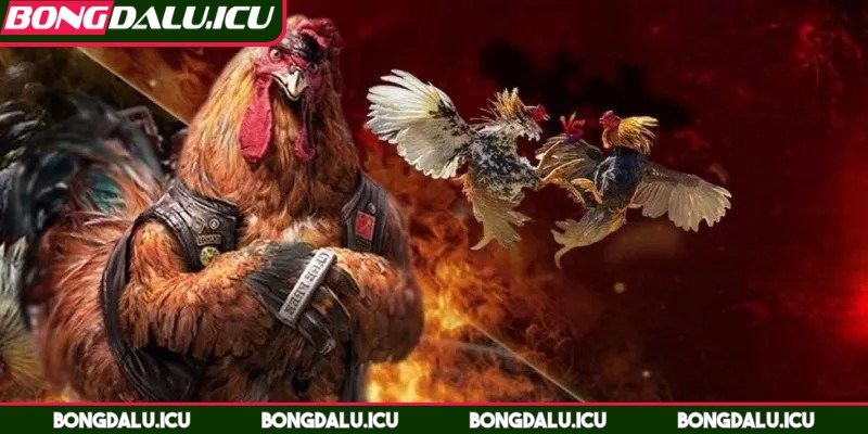 Galaxy Win - Sân Chơi Đáng Tin Cậy Được Kê Thủ Săn Đón - 3 Từ trang chủ đến giao diện game đều được xây dựng an toàn