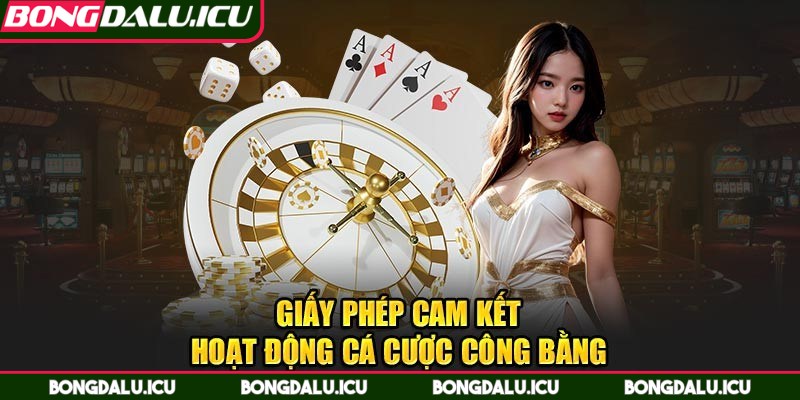 Giấy Phép Và Chứng Chỉ - 2 Chứng chỉ công bằng trong mọi dịch vụ thể thao được nhấn mạnh