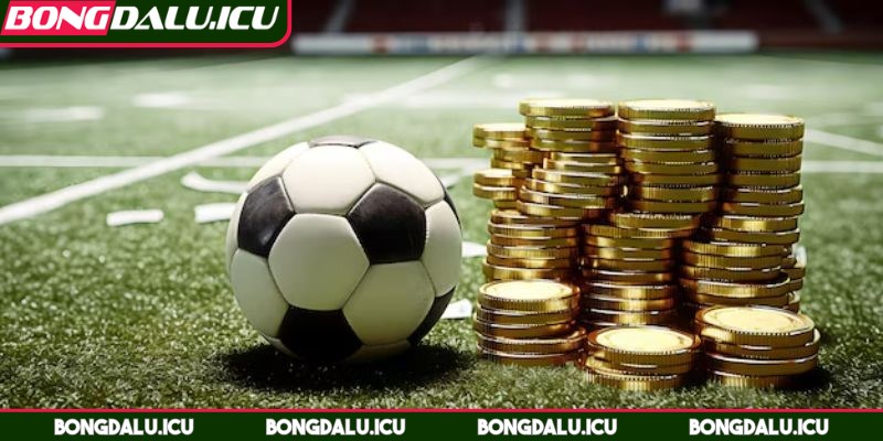 Kèo Đồng Banh Là Gì? Cách Hiểu Đúng Cần Nắm Vững Nhất - keo dong banh la gi cach hieu dung nhan duoc su quan tam Kèo đồng banh là gì? Cách hiểu đúng nhận được sự quan tâm lớn