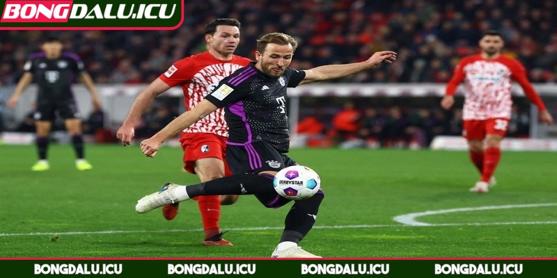 Lịch Thi Đấu Bóng Đá Đức Hôm Nay Chuẩn, Nhanh Nhất - 4 Nắm bắt chuẩn xác về lịch thi đấu, địa điểm, giờ thi đấu chính xác