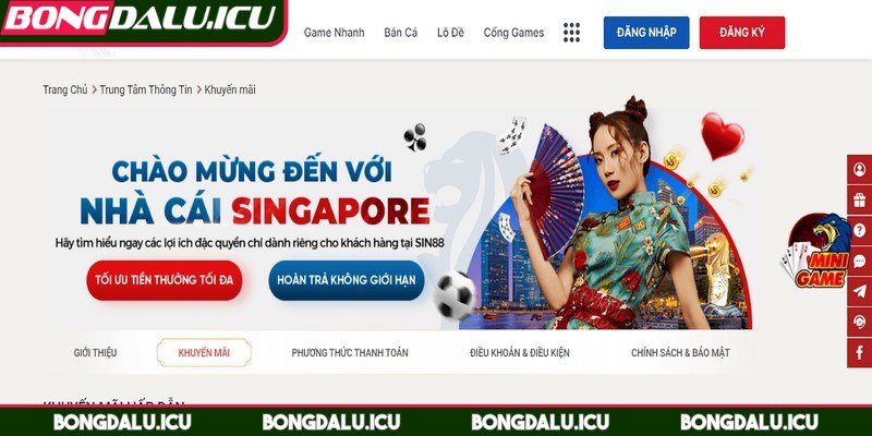 Sin88 - Tham Gia Đá Gà An Toàn, Thú Vị Ngay Tại Nhà - 3 Chỉ nhập đúng mã xác thực thì thao tác thanh toán mới được thực hiện