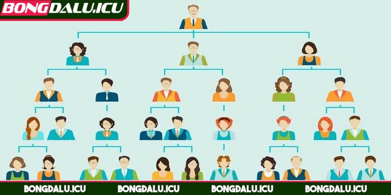 Sơ Đồ Tổ Chức Bộ Máy - 1 Bộ máy điều hành đứng đầu chịu trách nhiệm tổng quan nhất