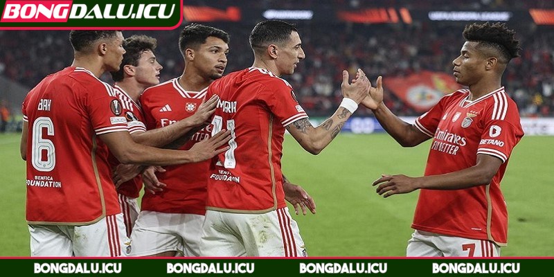 Soi Kèo Benfica Vs Lion - Cán Cân Nghiêng Về Chủ Nhà - 3 Đại diện Bồ Đào Nha đang có nhiều yếu tố vượt trội hơn
