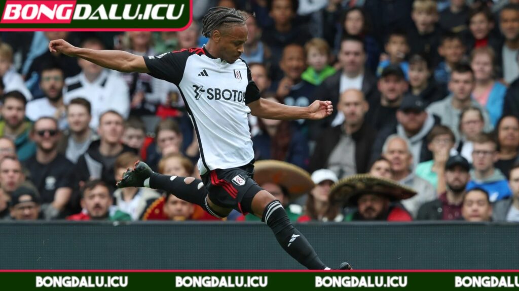 Soi kèo Fulham vs Brentford - Trận chiến khó lường - 3 Soi kèo Fulham vs Brentford phân tích chi tiết