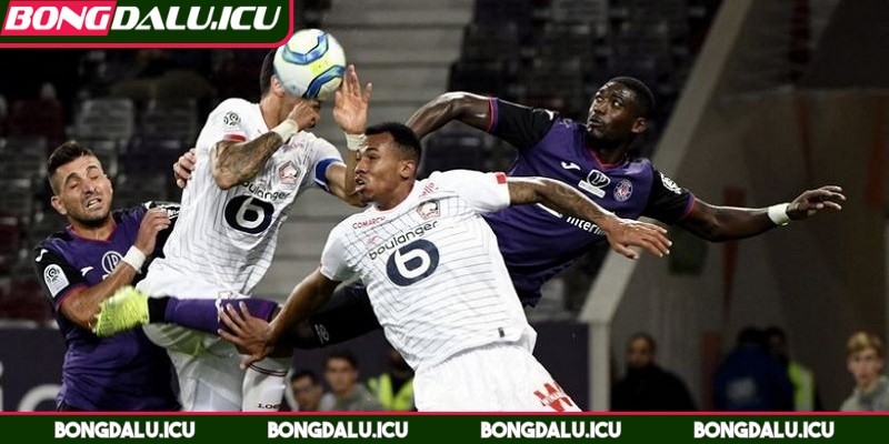 Soi Kèo Lille Vs Toulouse Khi Khát Vọng Chạm Mặt Thực Tế - 2 Soi kèo Lille vs Toulouse phân tích động lực thi đấu