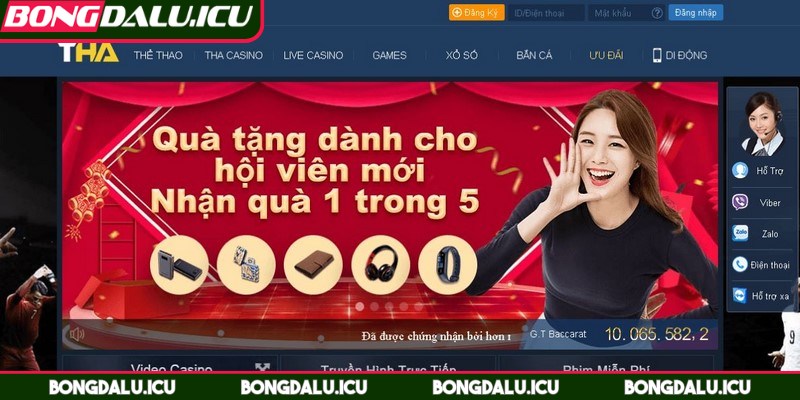 Thienhabet - Nhà Cái Nổ Hũ Khét Tiếng Nhất Thị Trường - 2 ThienHaBet hiện đang là một trong những cái tên được săn đón nhiều